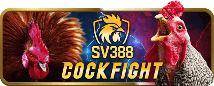 Thưởng nạp lại hàng ngày tại FB88 Casino
